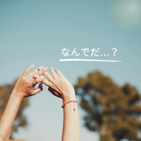 画像289