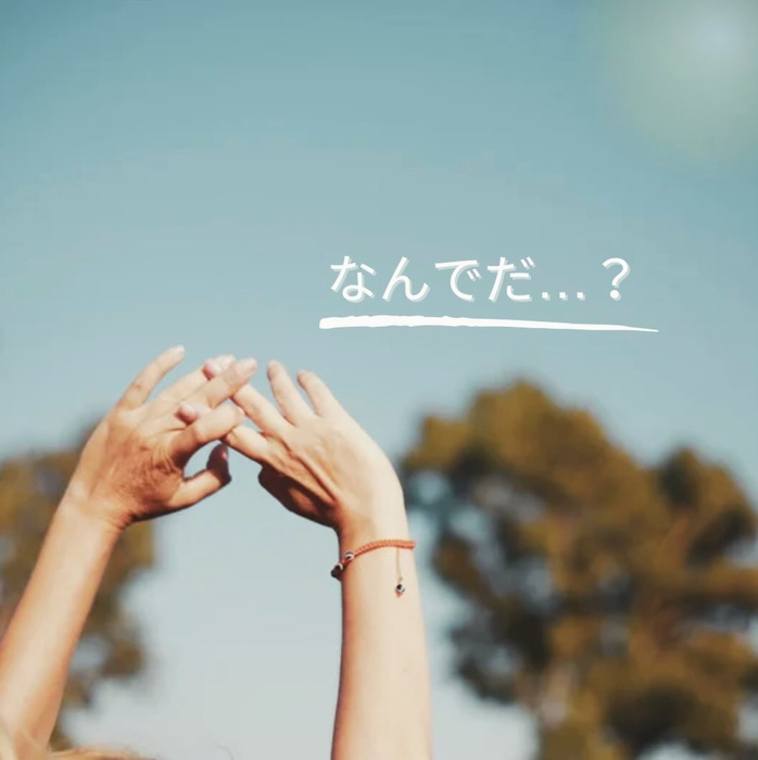 画像289