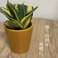 画像293