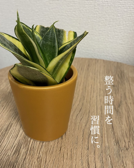 画像293