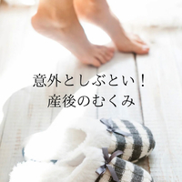 画像311