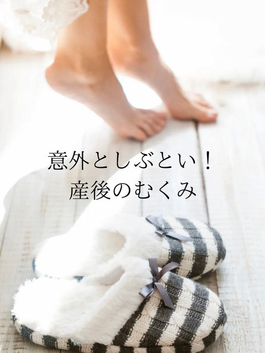 画像311