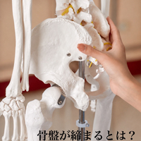画像365