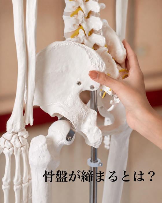 画像365